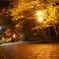 Running　course