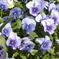 PO20100327_0043