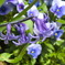 PO20100327_0044