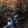 開田高原の渓流