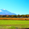 Mt 富士