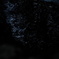 働きものの星よ