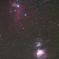 オリオン大星雲&馬頭星雲と燃える木
