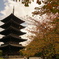 東寺の五重塔