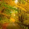 山の細道
