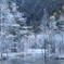 上高地の朝