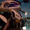 CBR250RR