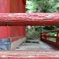 カタツムリと神社