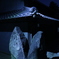 暗峠