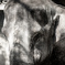 _IMG_4839_01-4
