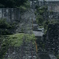 登りたい...