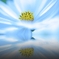 Blue wind