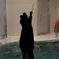 ジャンプするラッコ（鳥羽水族館）
