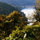 風景
