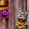 Trick or Treat
