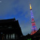 増上寺から望む東京タワー（ハロウィンライトアップ）