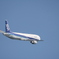 ANA B767