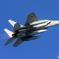 築城基地航空祭2015 F-15J