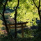 近場のお寺　１