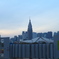 期間限定の景色