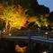 橋と紅葉