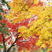 PICT0149