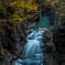 Autumn Flow