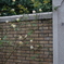 IMGP1790