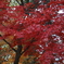 PICT0393