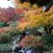 PICT0252