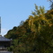 P1060504