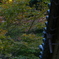 P1060506
