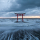 torii gate