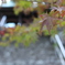 お寺にて