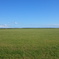 北海道・エサヌカ原生花園②