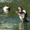 DSCN0764