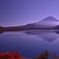 富士山撮ってみた