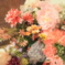 お花