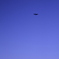飛行機