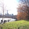 Central Park / Newyork