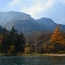 autumn colours