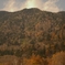 autumn colours