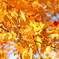草津　紅葉