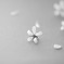 さくら気分　in　monochrome