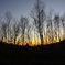 八幡平の夕景