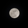 blue moon(2010.3.30)