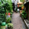 深川・門前仲町1