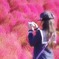 コキア