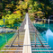 夢の架橋-寸又渓谷-