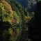 紅の里